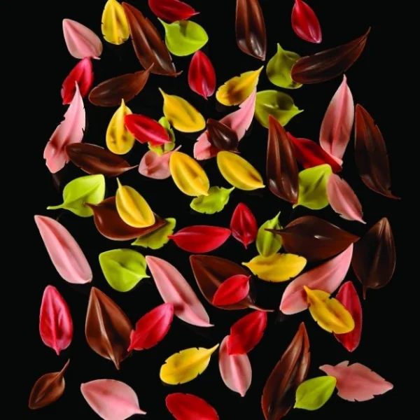 Couteau Inox Feuille 6 X 3 Cm Flychoc Pavoni styles dernier cri 3