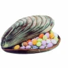 MALLARD FERRIERE Moule à Chocolat Coquillage 14,6 Cm qualité supérieure 10
