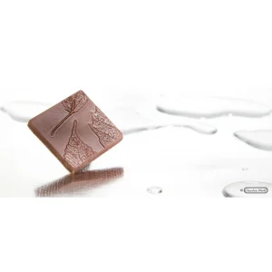 Moule Chocolat Carré Avec Feuille (x10) Chocolate World online boutique 6