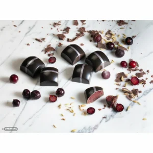 comparez les prix Moule Chocolat Carré Bombé 25,5 Mm (x24) Chocolate World 12