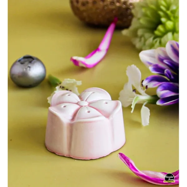 shopping pas cher Chocolat Form Moule Chocolat Mochi 2,8 Cm (x21) Chocolate Form 3