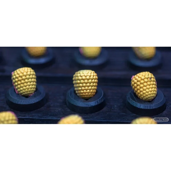 ultratendance Moule Chocolat Patrick De Vries Hybritage Raspberry 29,5 Mm (x24) Chocolate World 3