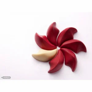 Achat Moule Chocolat Pétale 45×31 Mm (x21) Chocolate World 9