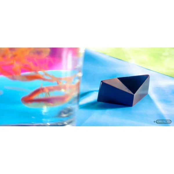 à prix d'occasion Moule Chocolat Praline Tropicale Buddy Trinidad (x21) Chocolate World 4