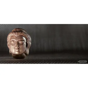 guranteed de qualité Moule Chocolat Tête Bouddha (x21) Chocolate World 6